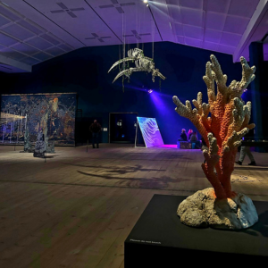 Exhibition in the Baltic