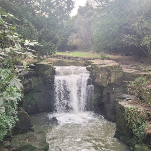 Jesmond Dene waterfall