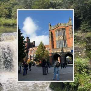 Picture of Arches placed on background of Jesmond Dene
