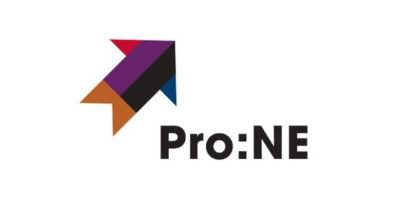 Pro NE logo