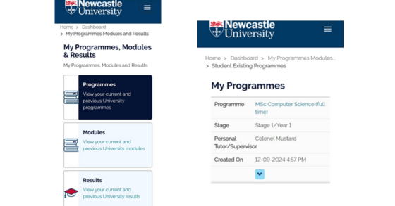 Screenshot of Personal Tutor information on the Student Portal