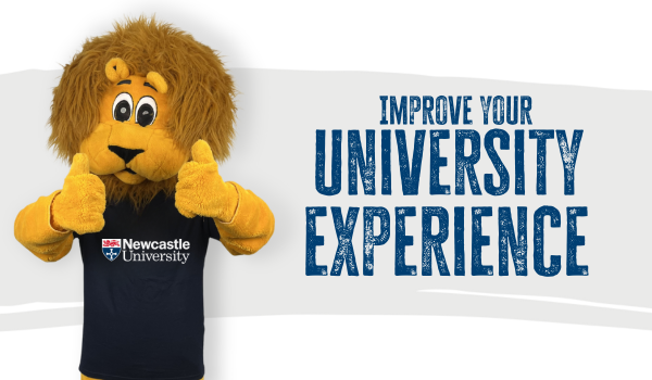 Newsletter In Body images (11)