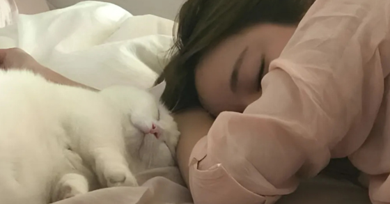 Image of a person sleeping next to a white cat 