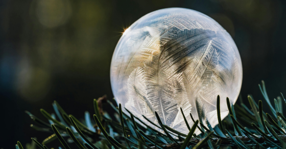 Iceball on pine needles 