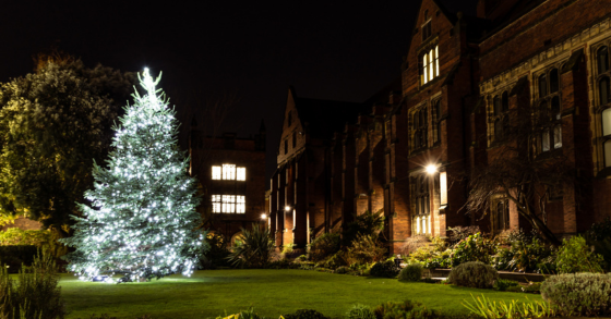 Christmas tree in the quad