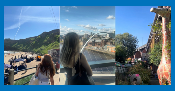 A trio of photos overlaid on a blue background - King Edwards bay, the Millennium bridge and Ouseburn Farm