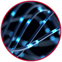 fibre optic cable to represent a data network