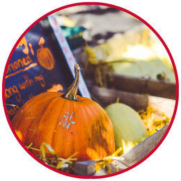 Image of a pumpkin in a basket next to a squash