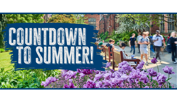 coundown to summer - summer on the old quad