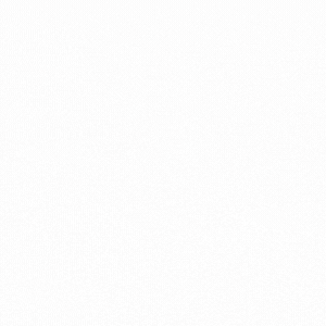 newsletter square images  (3)