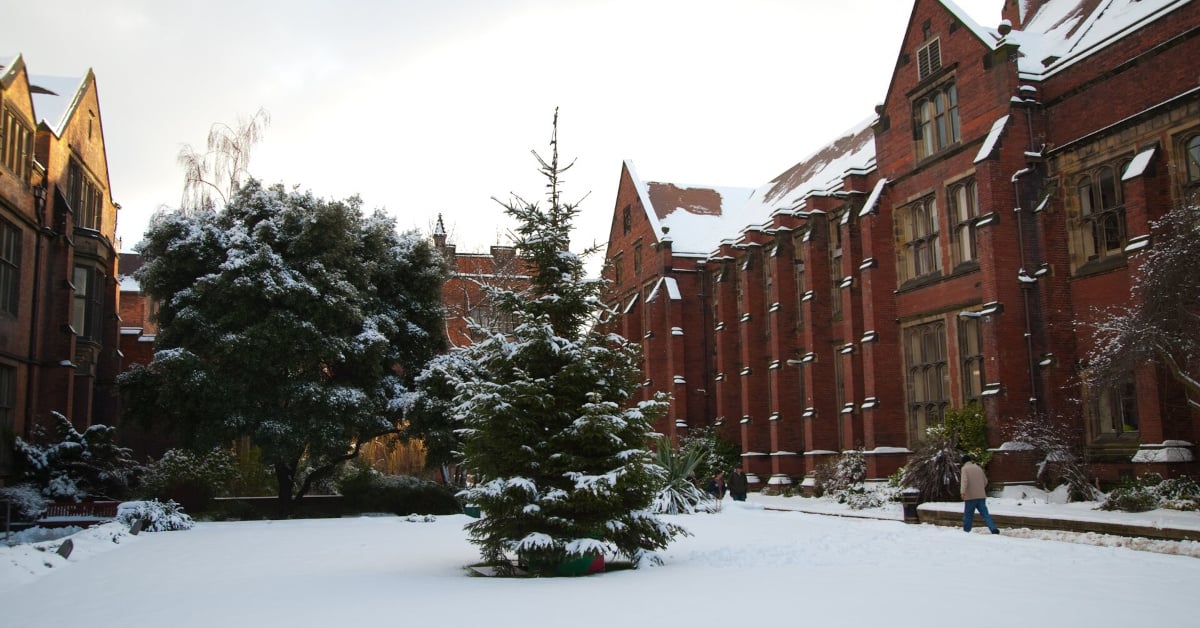 A Christmas tree in the snow-laden ground, between university buildings.
