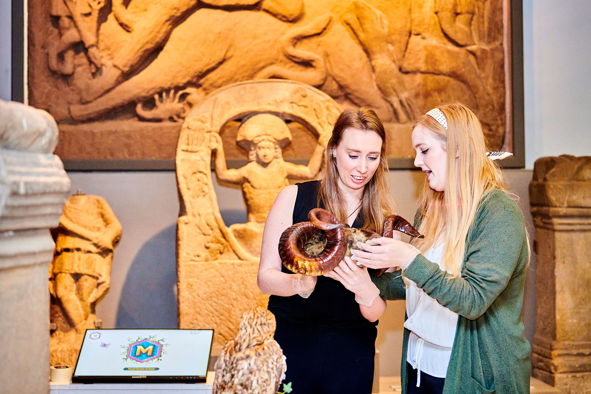 museum studies